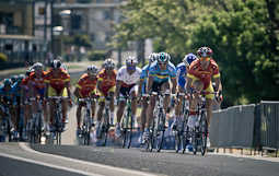 2010 Cycling World Road Race Championships